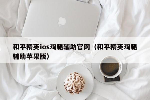 和平精英ios鸡腿辅助官网（和平精英鸡腿辅助苹果版）