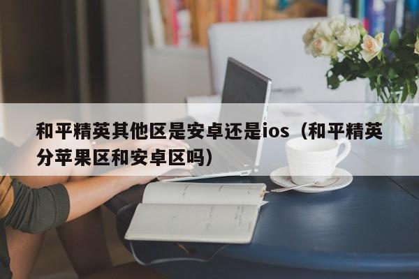 和平精英其他区是安卓还是ios（和平精英分苹果区和安卓区吗）