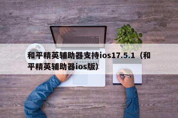 和平精英辅助器支持ios17.5.1（和平精英辅助器ios版）